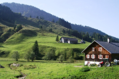Berg-Kräuterwanderungen - Wilde Bilder