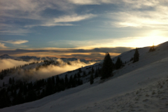 Schneeschuhwanderungen - Wilde Bilder